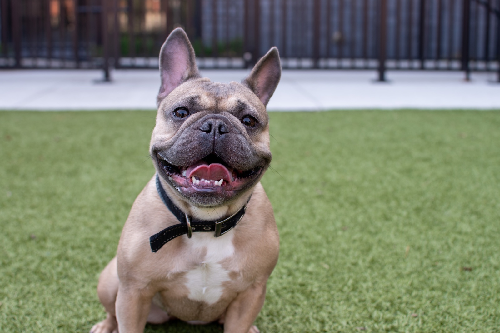 Tempo - East Village Des Moines