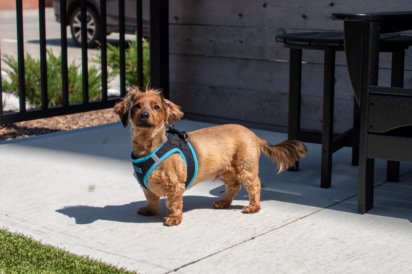 Tempo - East Village Des Moines