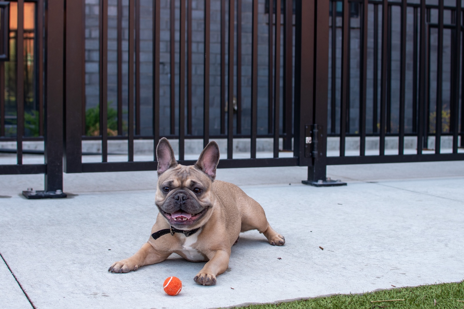 Tempo - East Village Des Moines