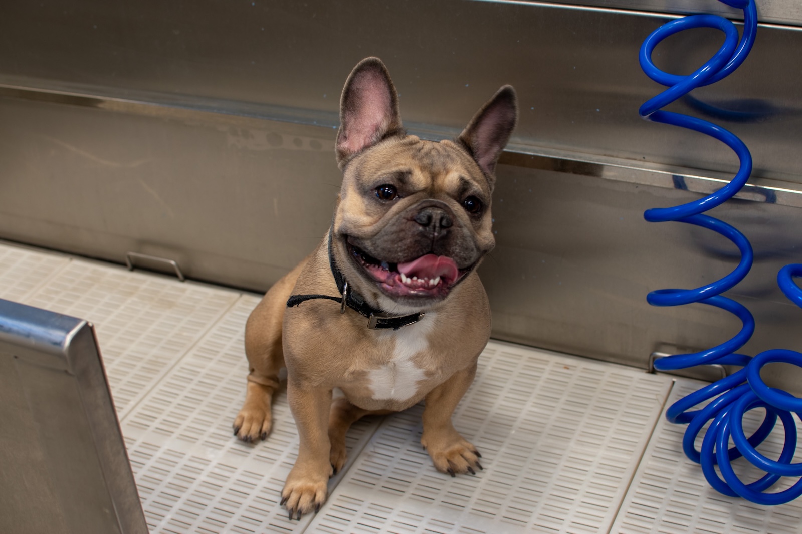 Tempo - East Village Des Moines