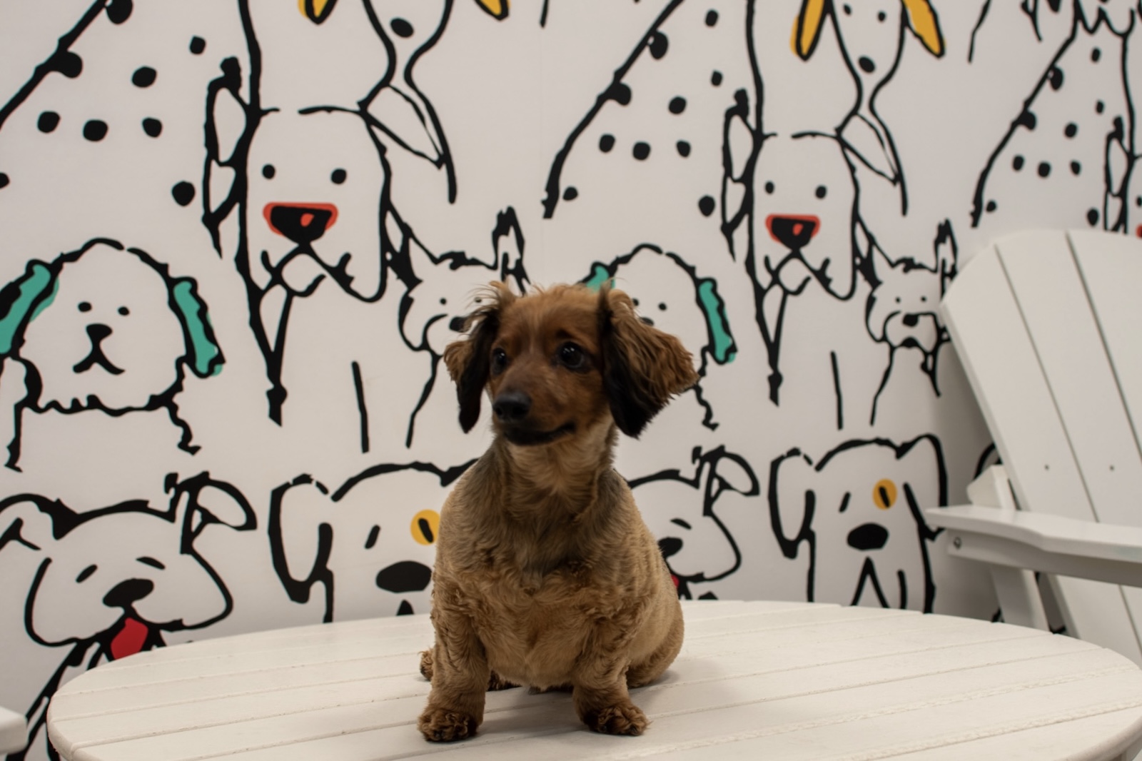 Tempo - East Village Des Moines