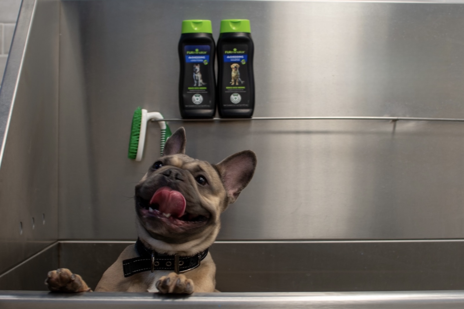 Tempo - East Village Des Moines