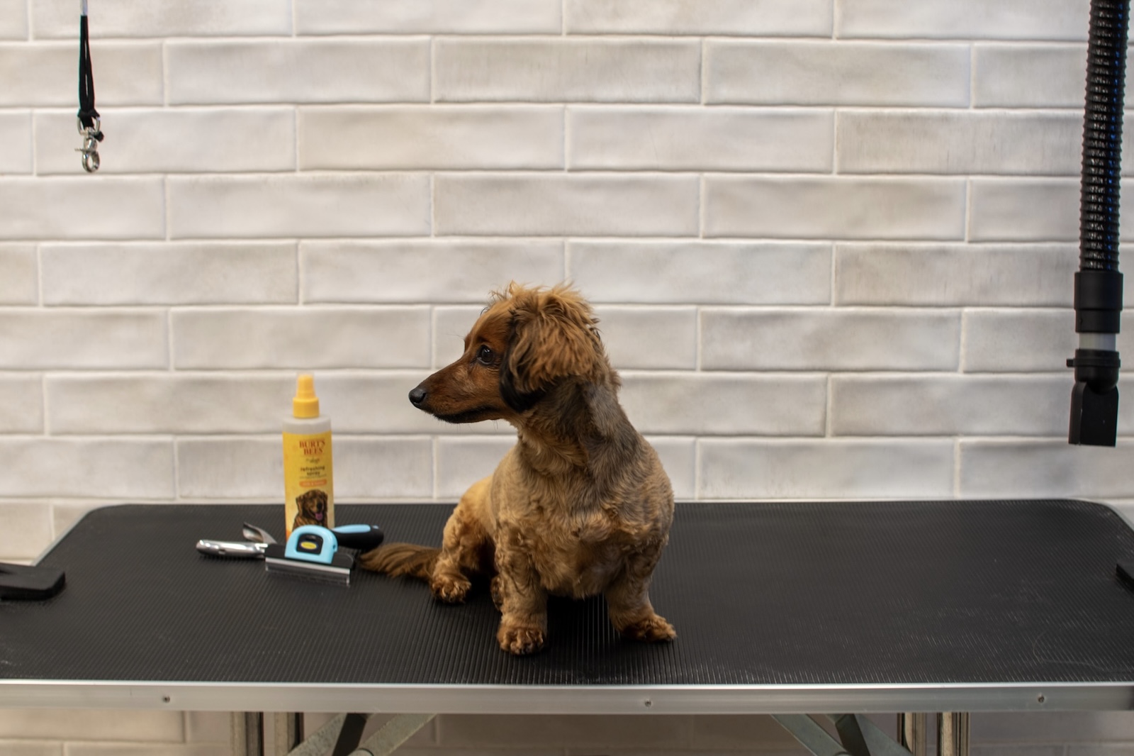 Tempo - East Village Des Moines