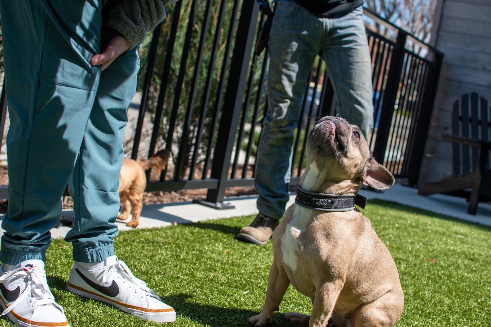 Tempo - East Village Des Moines