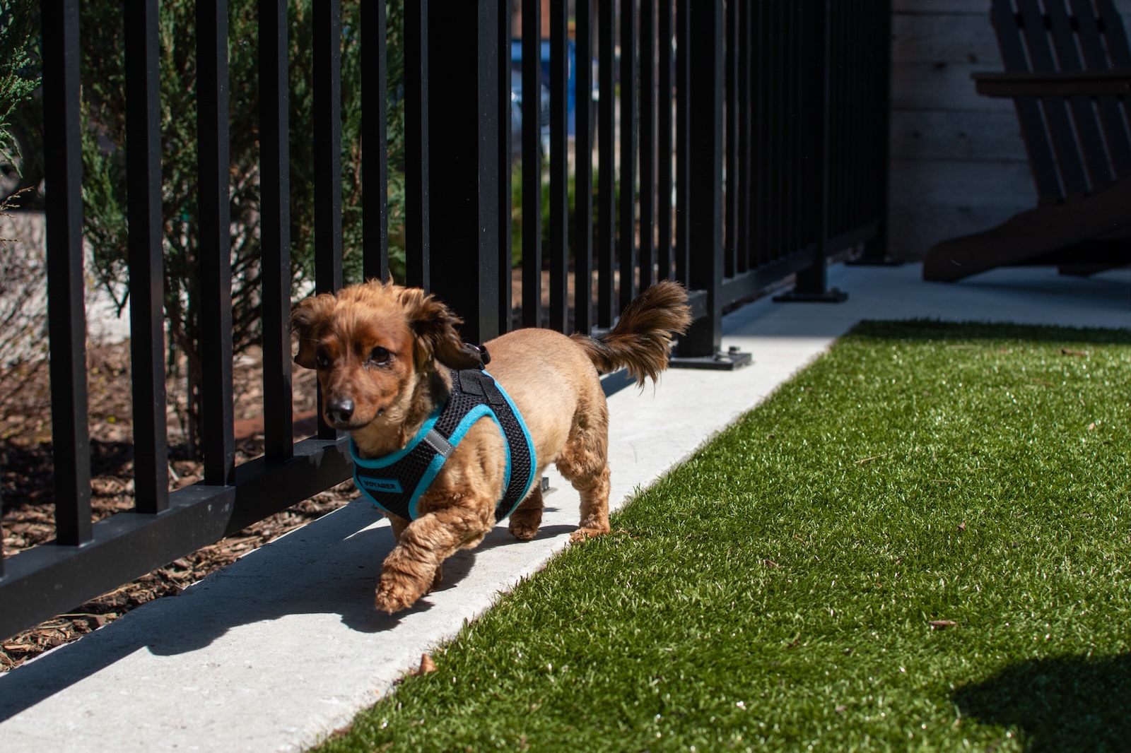 Tempo - East Village Des Moines