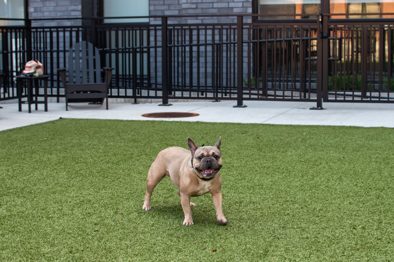 Tempo - East Village Des Moines